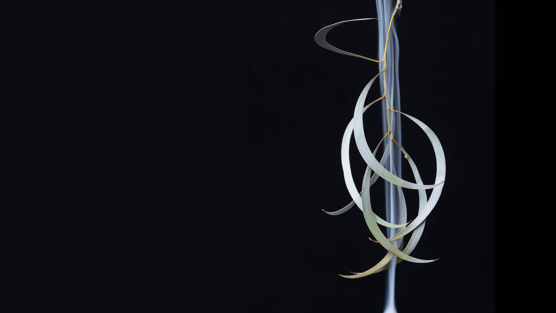 Anxiousness and The Body – Part 2