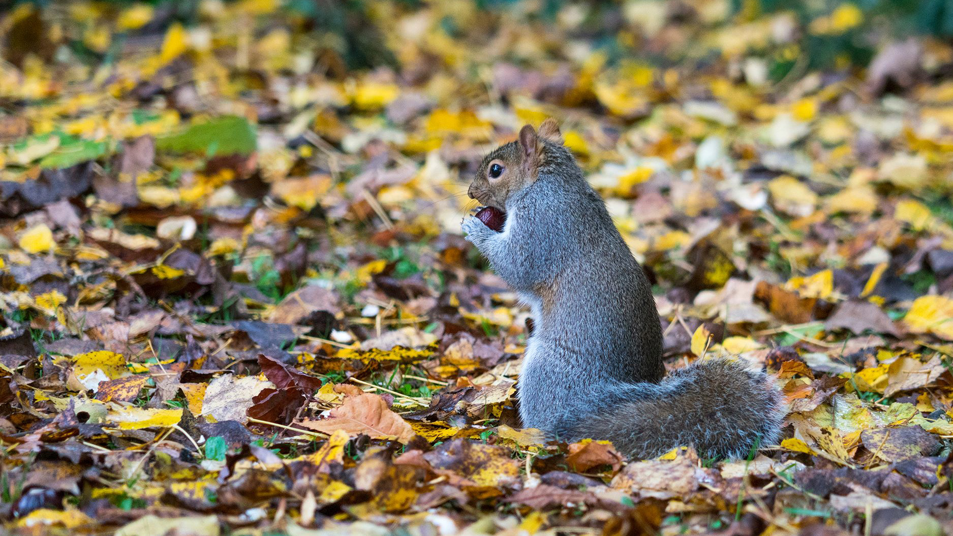 Budgets, Money & You